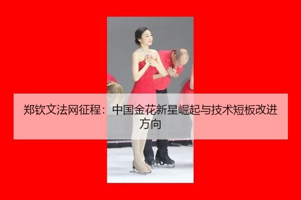 郑钦文法网征程：中国金花新星崛起与技术短板改进方向